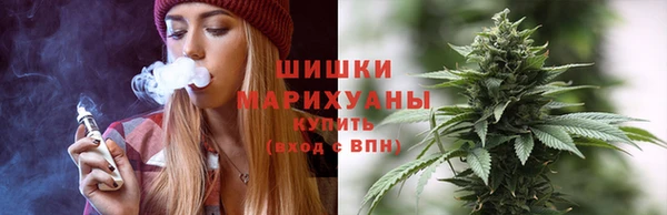 амф Корсаков