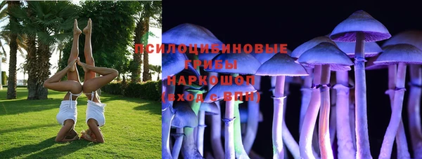 прущая мука Козловка